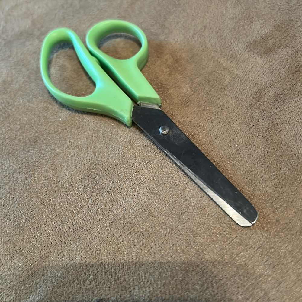 Small Green Scissors ✂️- Approx 4”